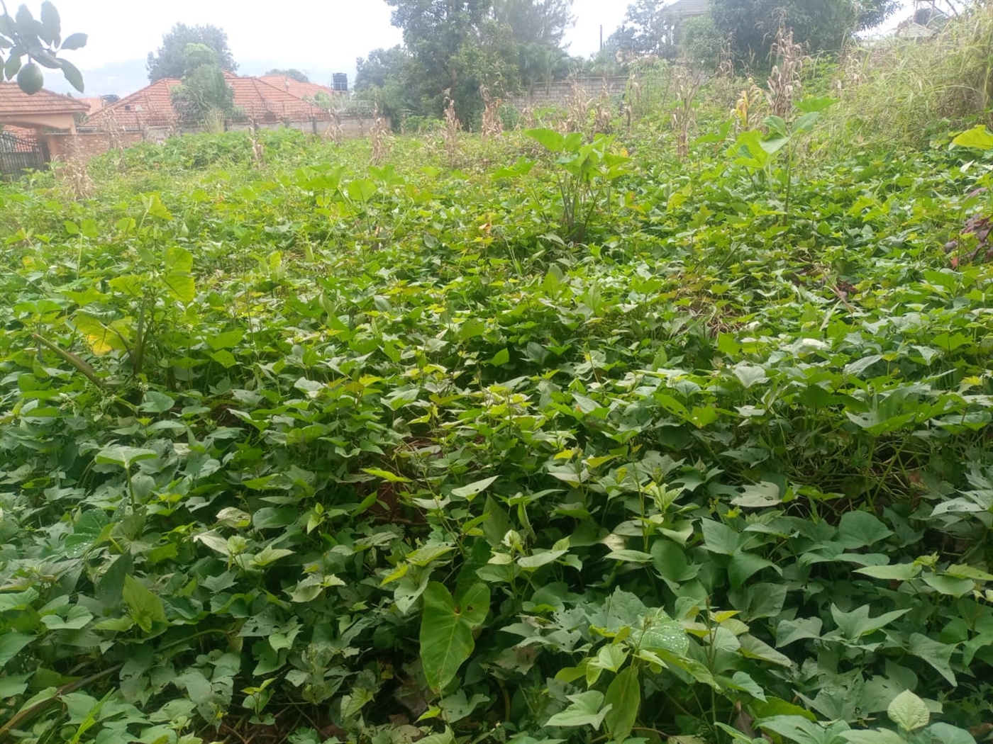 Residential land for sale in Seguku Wakiso Uganda