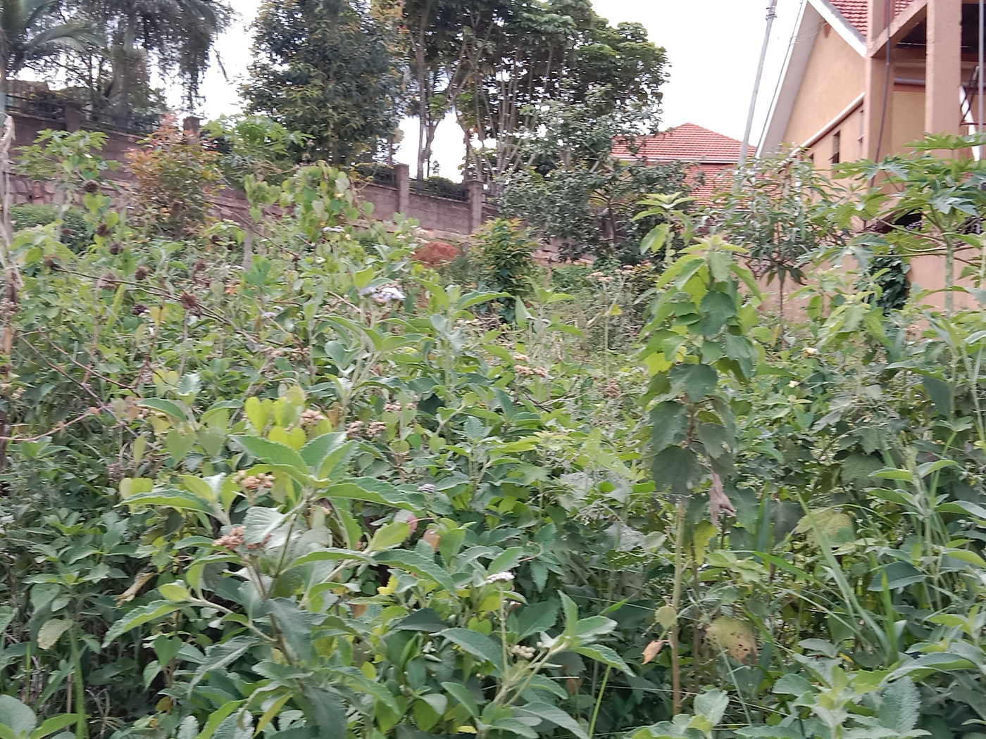 Residential land for sale in Seguku Wakiso Uganda