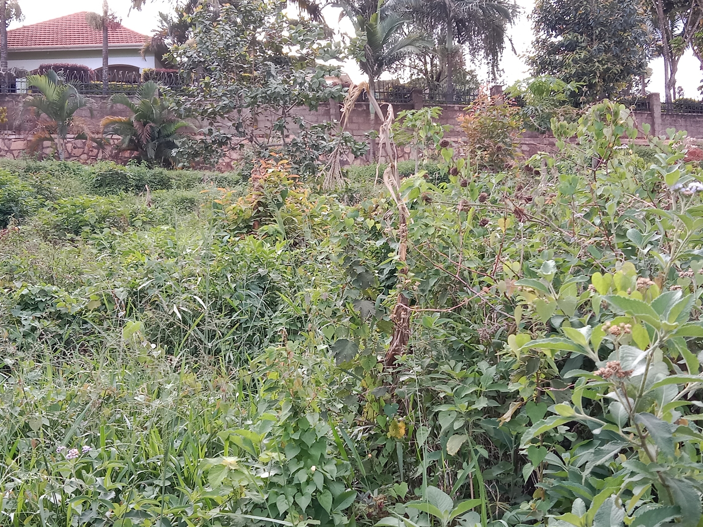 Residential land for sale in Seguku Wakiso Uganda