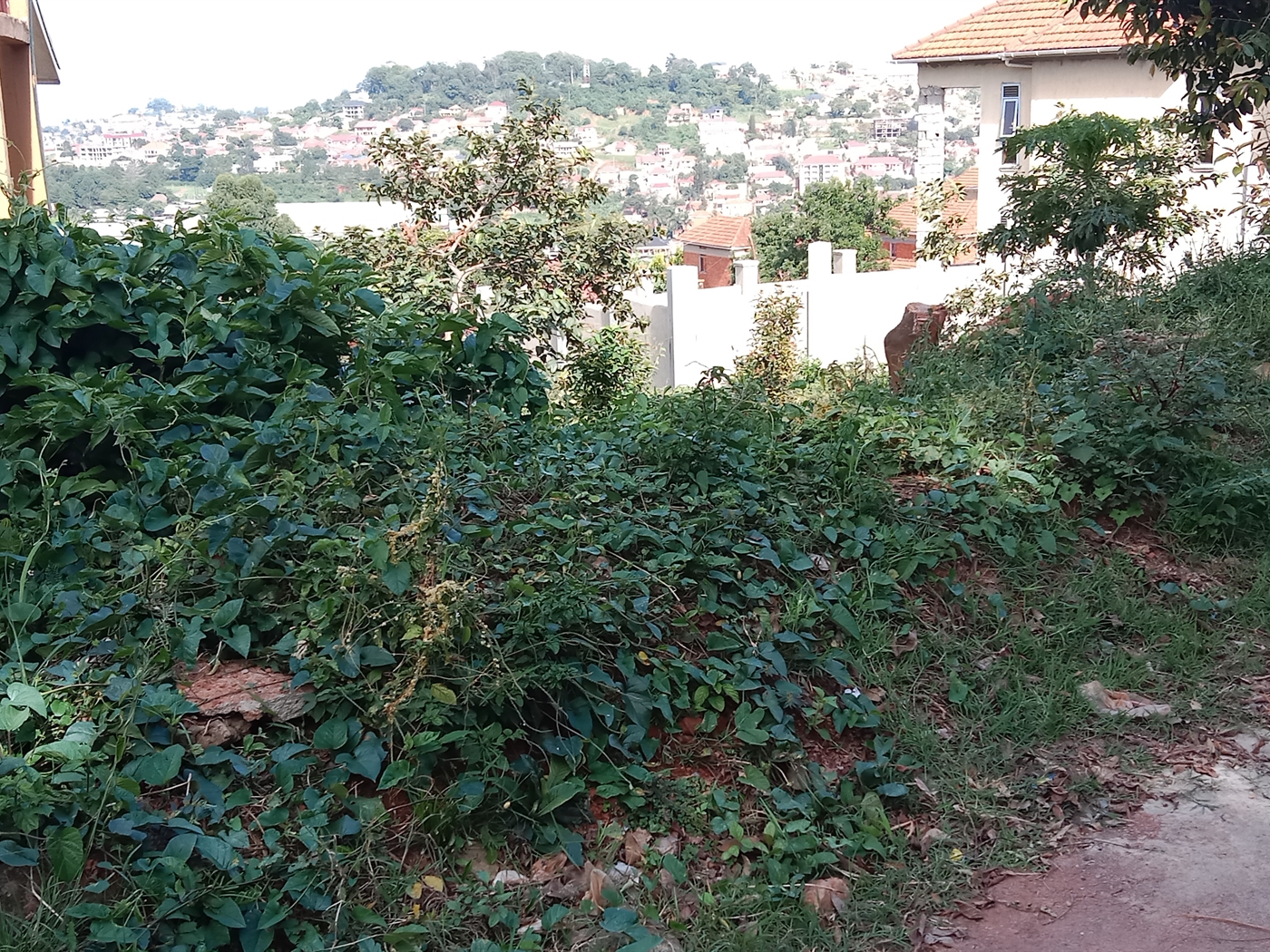 Residential land for sale in Seguku Wakiso Uganda