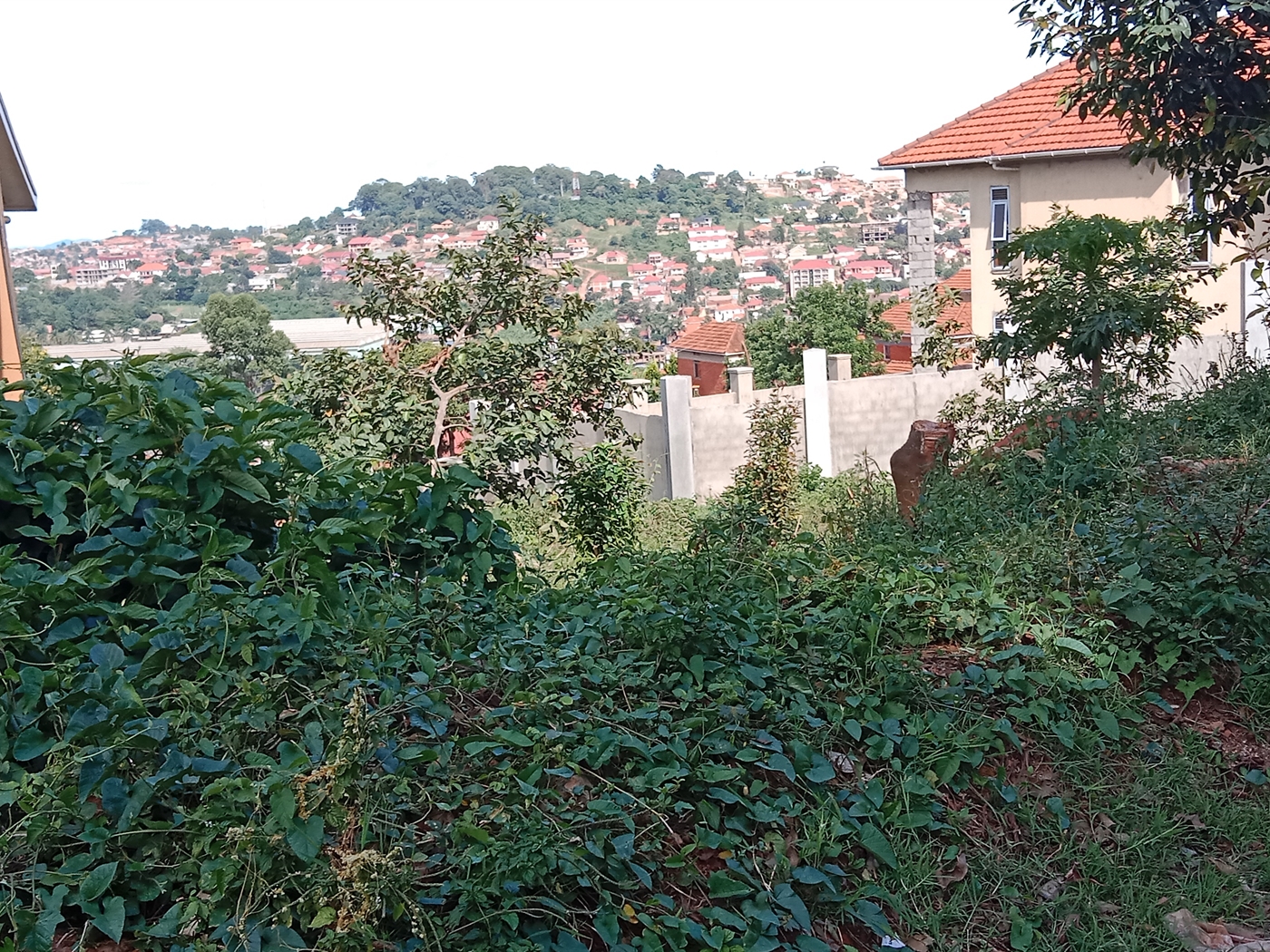 Residential land for sale in Seguku Wakiso Uganda