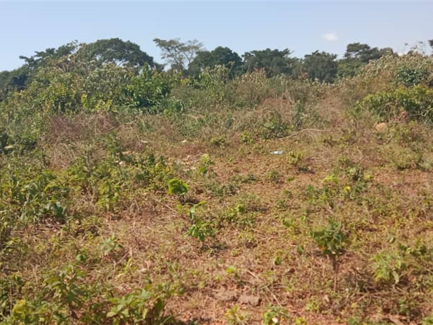 Residential land for sale in Seguku Wakiso Uganda