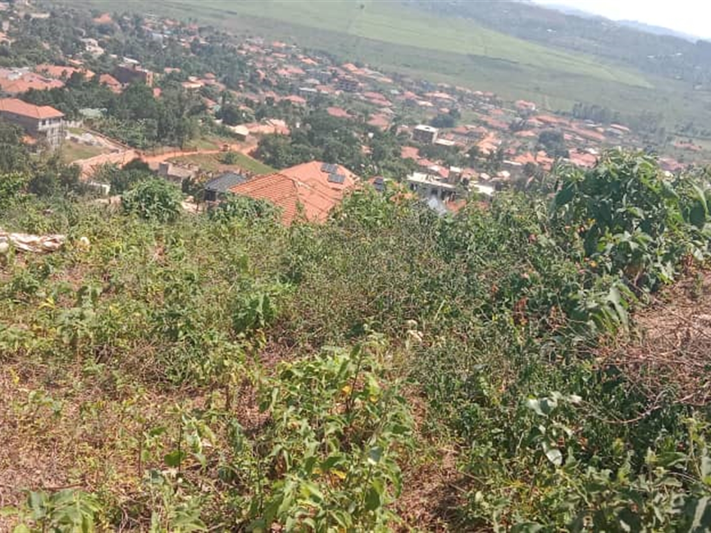 Residential land for sale in Seguku Wakiso Uganda