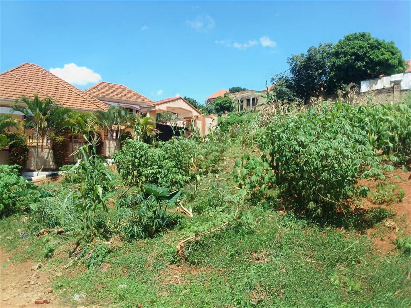 Residential land for sale in Seguku Wakiso Uganda