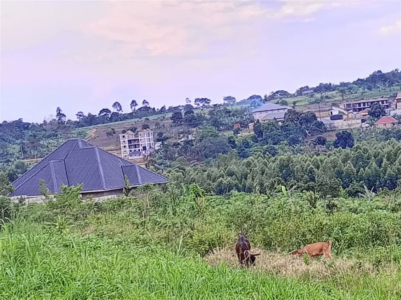 Residential land for sale in Matugga Wakiso Uganda