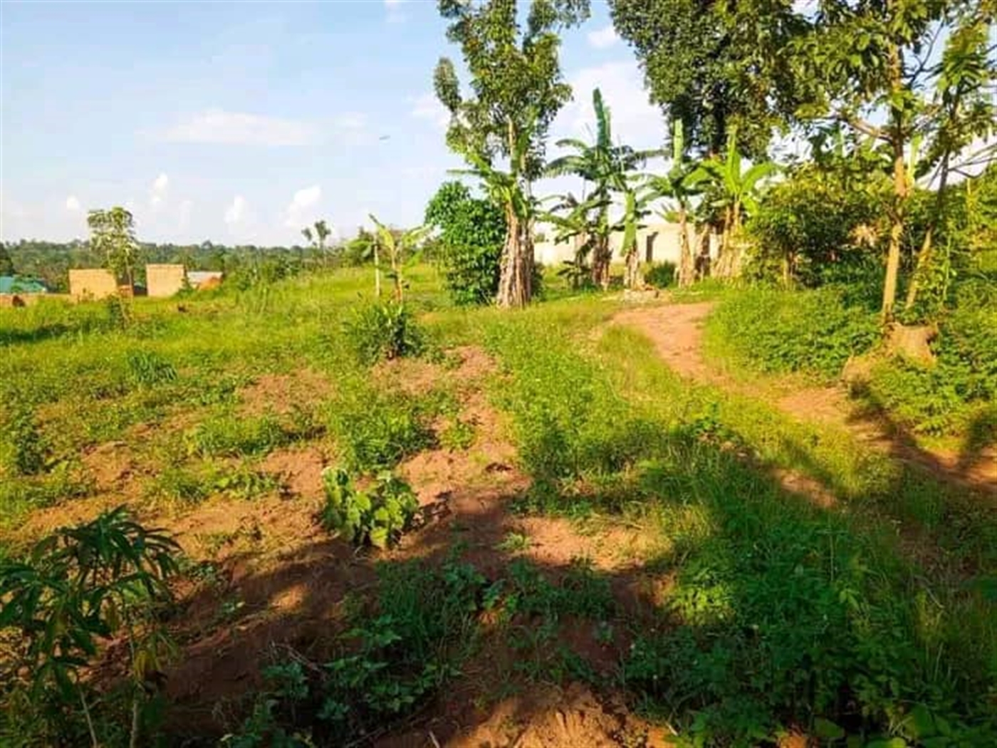 Residential land for sale in Matugga Wakiso Uganda