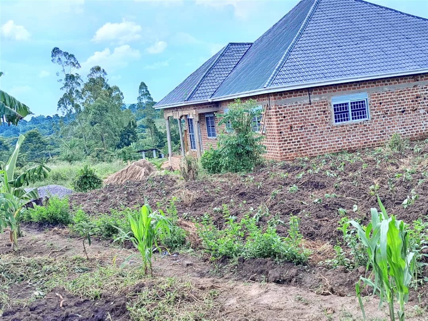 Residential land for sale in Matugga Wakiso Uganda