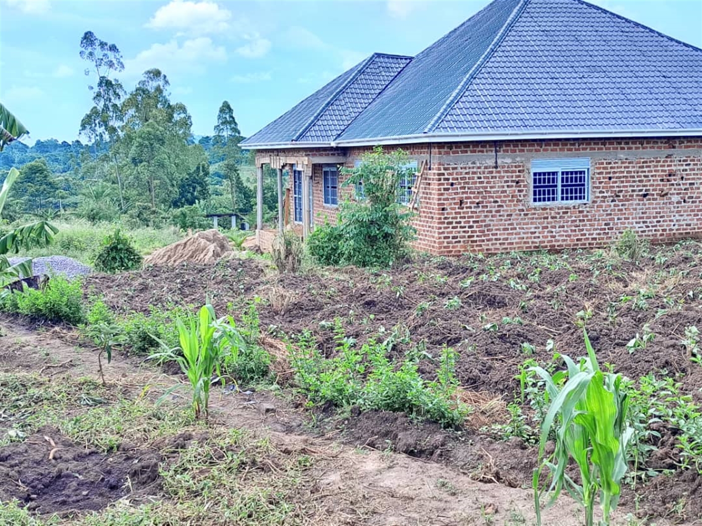 Residential land for sale in Matugga Wakiso Uganda