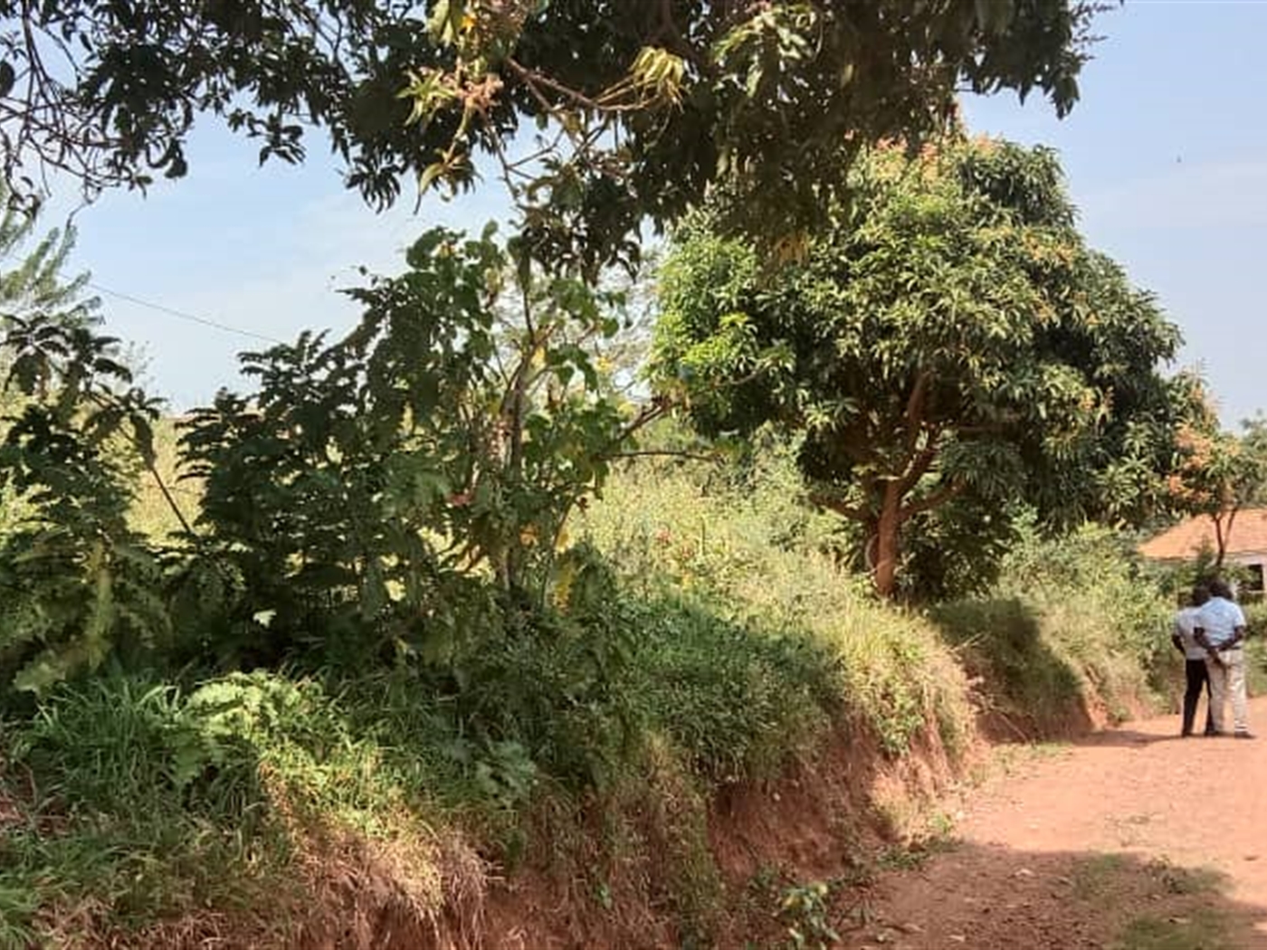 Residential land for sale in Seguku Wakiso Uganda