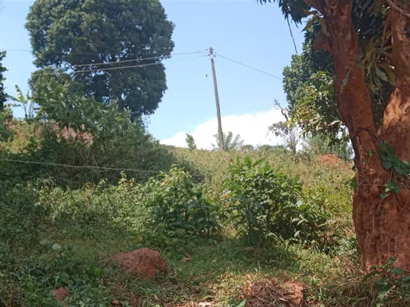 Residential land for sale in Seguku Wakiso Uganda