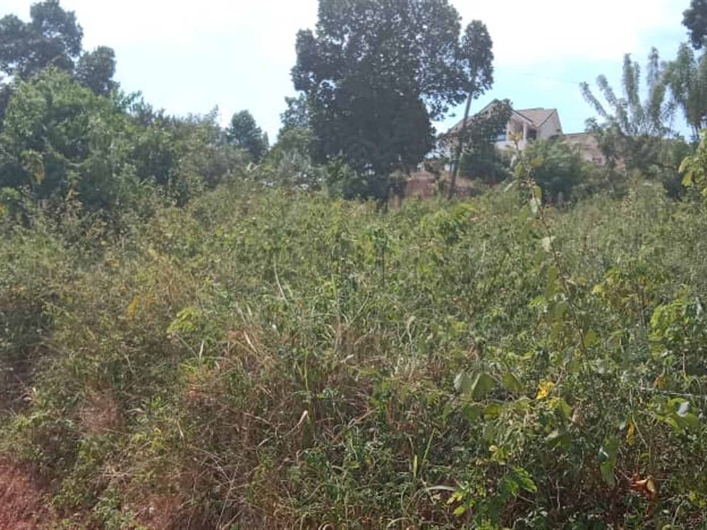 Residential land for sale in Seguku Wakiso Uganda