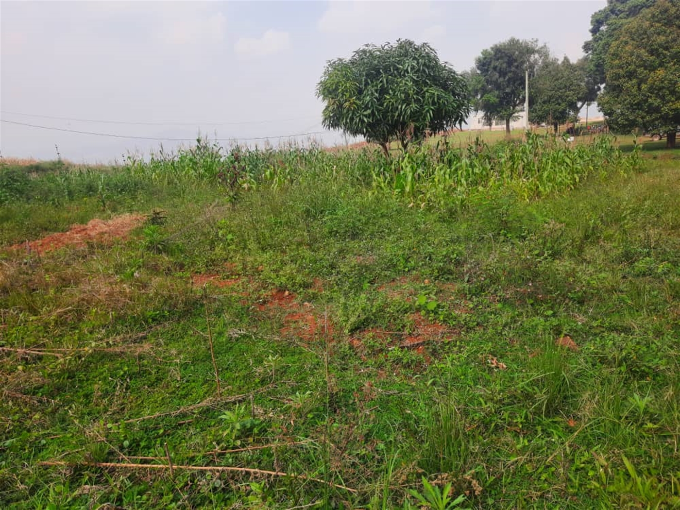 Residential land for sale in Seguku Wakiso Uganda