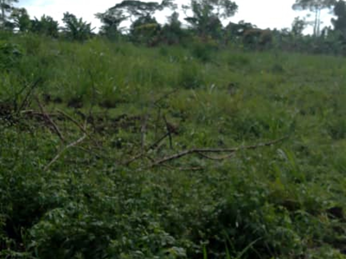 Residential land for sale in Matugga Wakiso Uganda