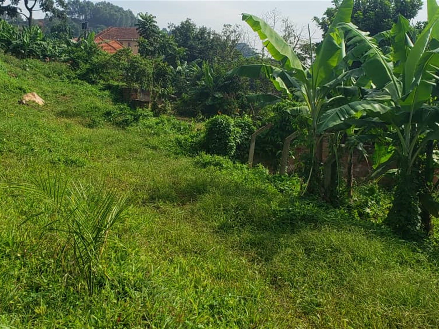 Residential land for sale in Zanabunamwaya Wakiso Uganda