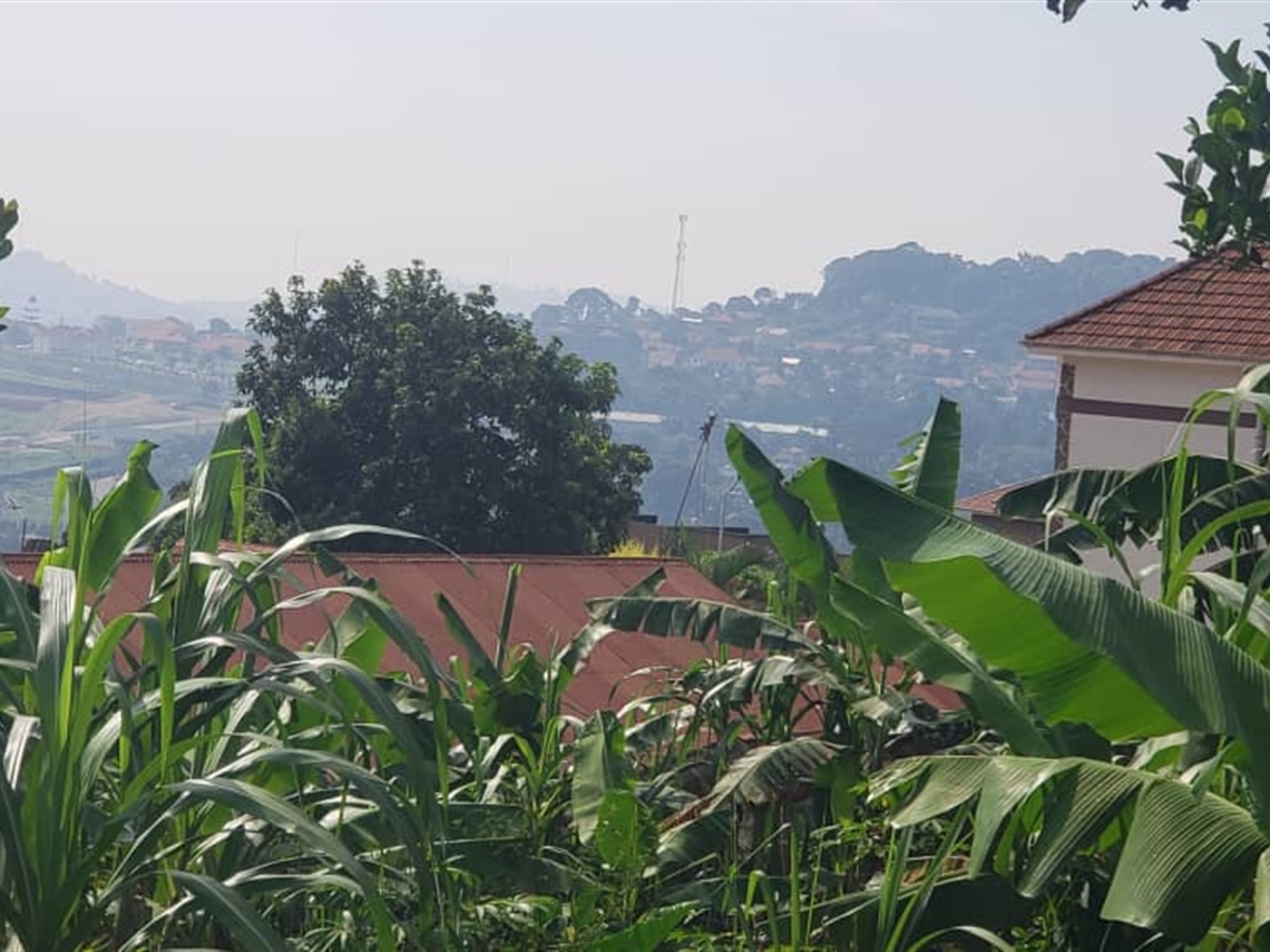 Residential land for sale in Zanabunamwaya Wakiso Uganda