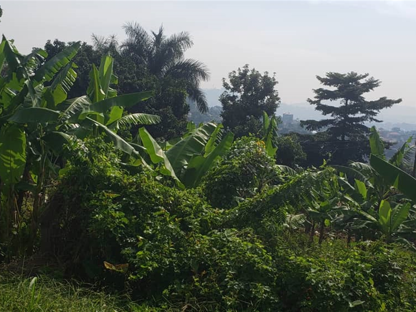 Residential land for sale in Zanabunamwaya Wakiso Uganda