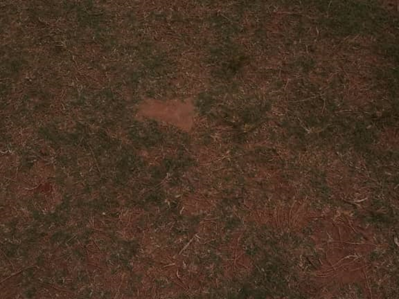 Residential land for sale in Ntinda Kampala Uganda