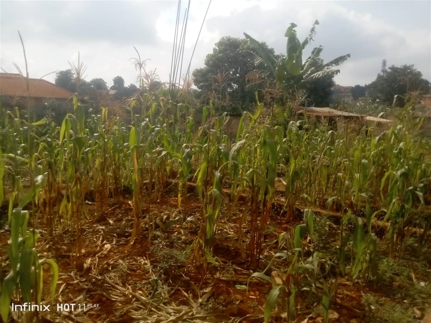 Residential land for sale in Ntinda Kampala Uganda