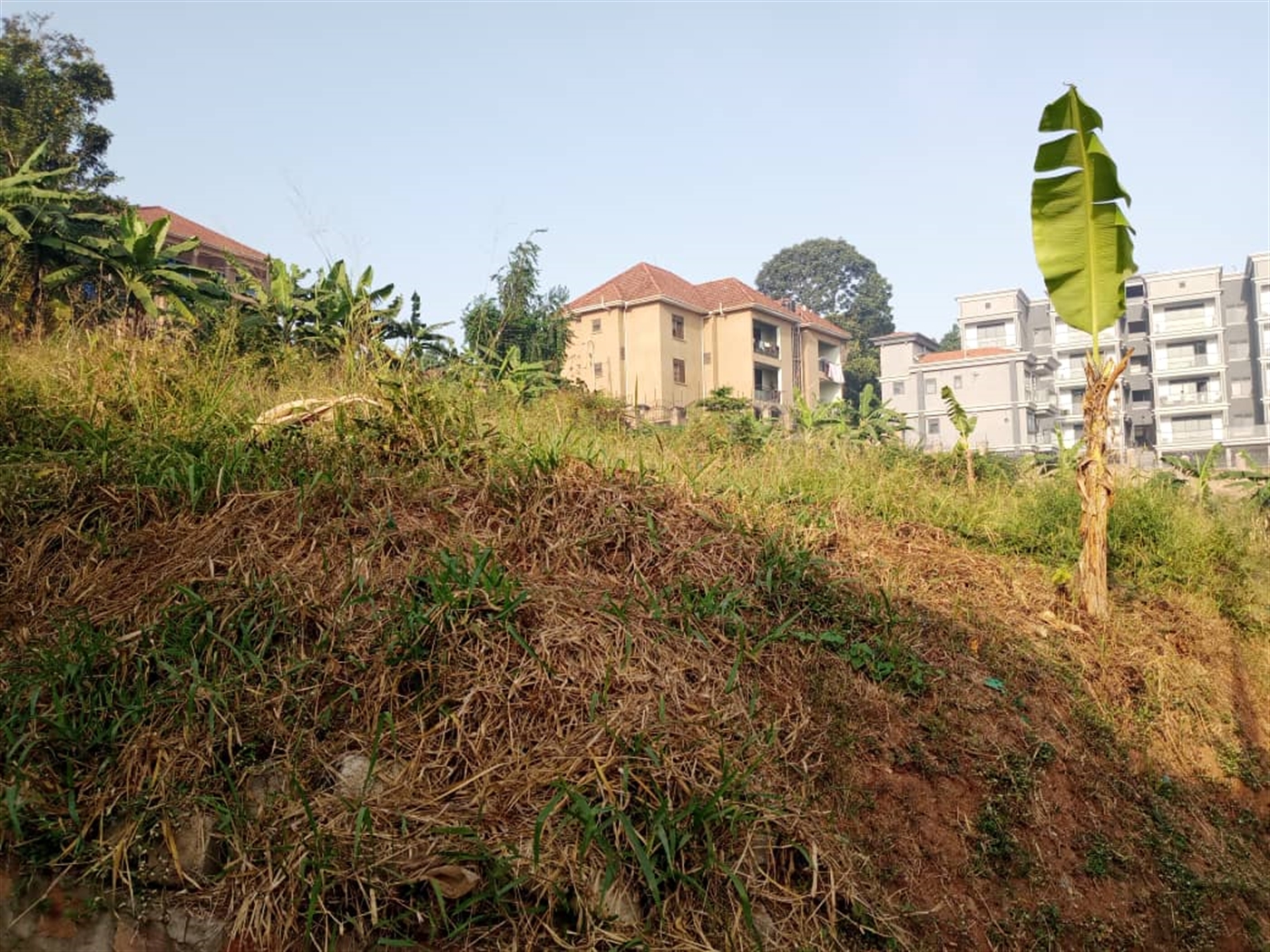 Residential land for sale in Ntinda Kampala Uganda
