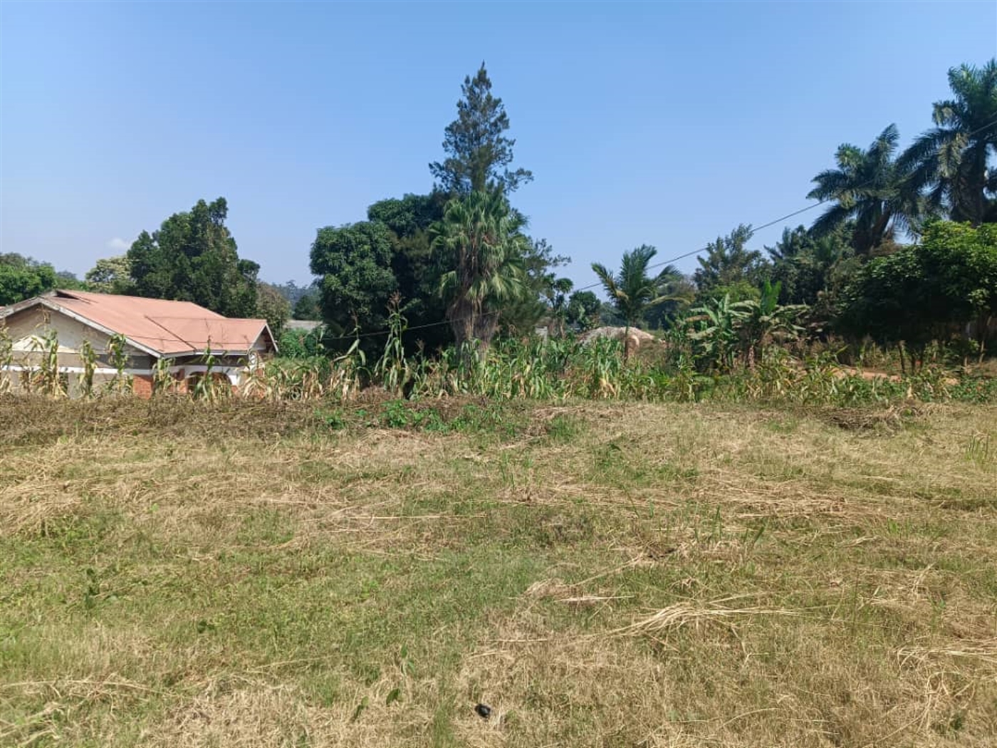Residential land for sale in Ntinda Kampala Uganda
