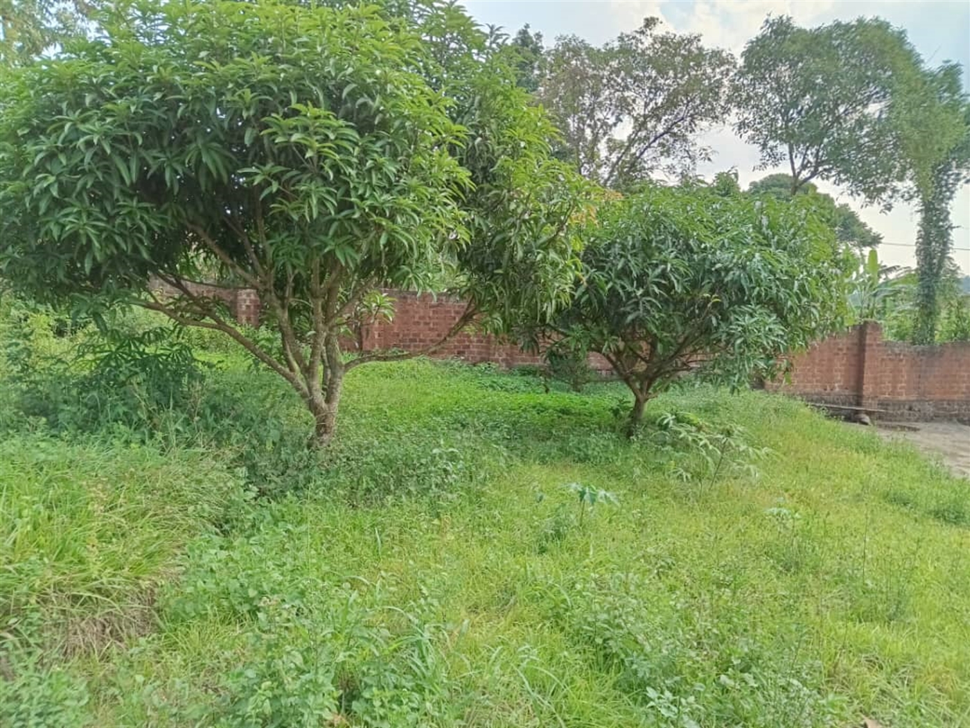 Residential land for sale in Wantoni Mukono Uganda