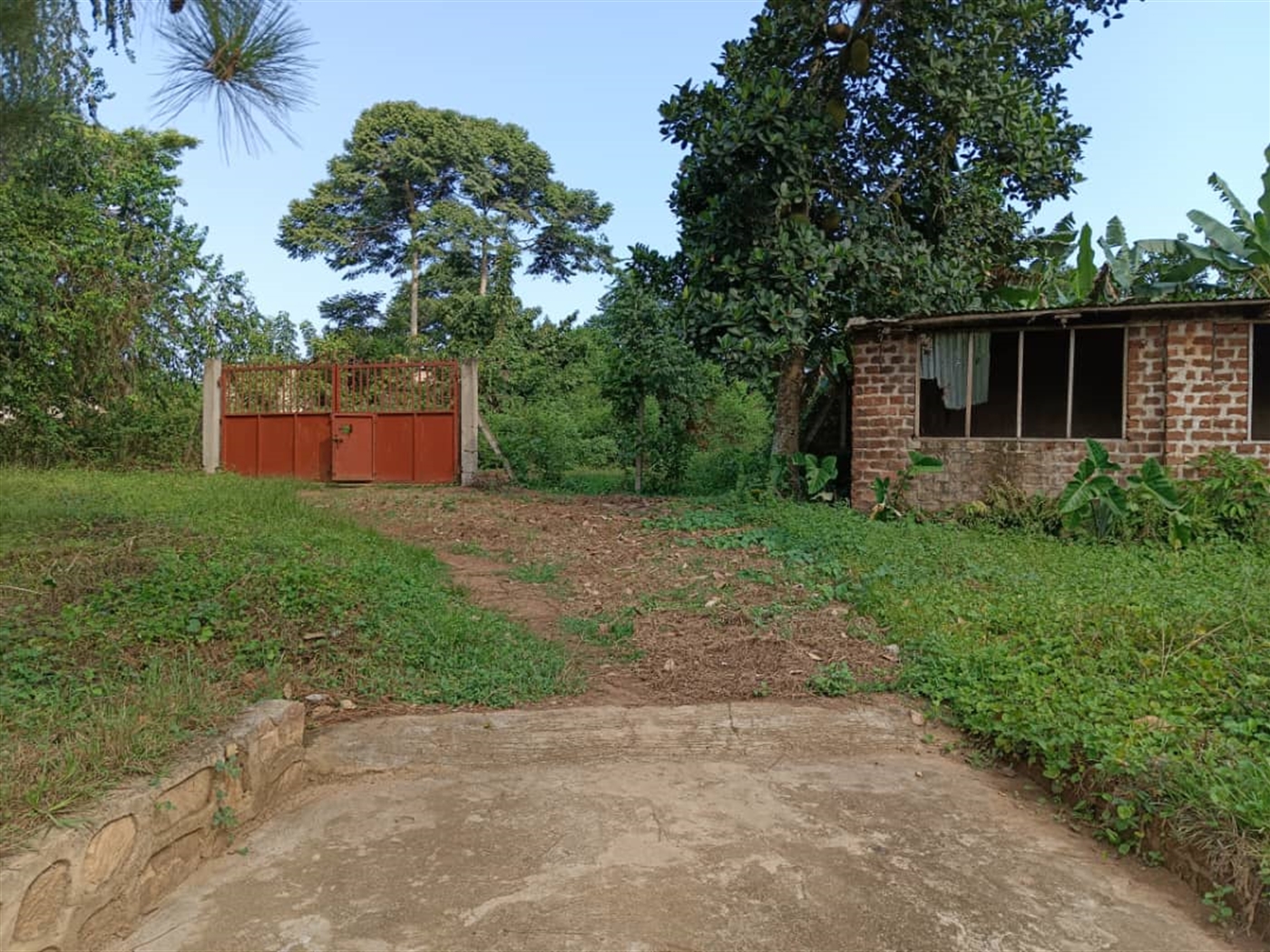 Residential land for sale in Wantoni Mukono Uganda