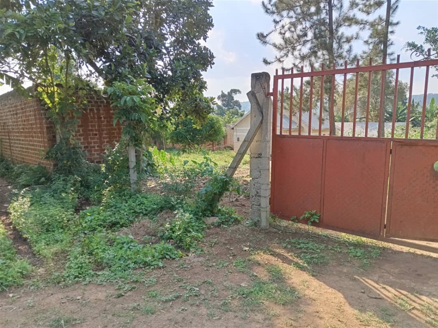 Residential land for sale in Wantoni Mukono Uganda