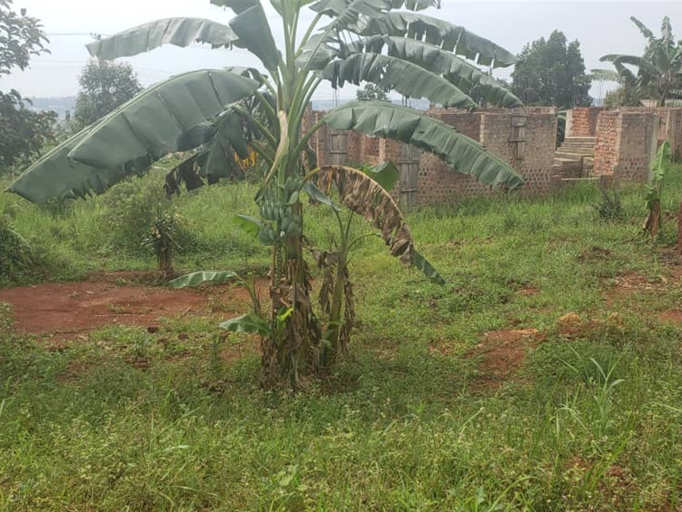 Residential land for sale in Wamala Wakiso Uganda