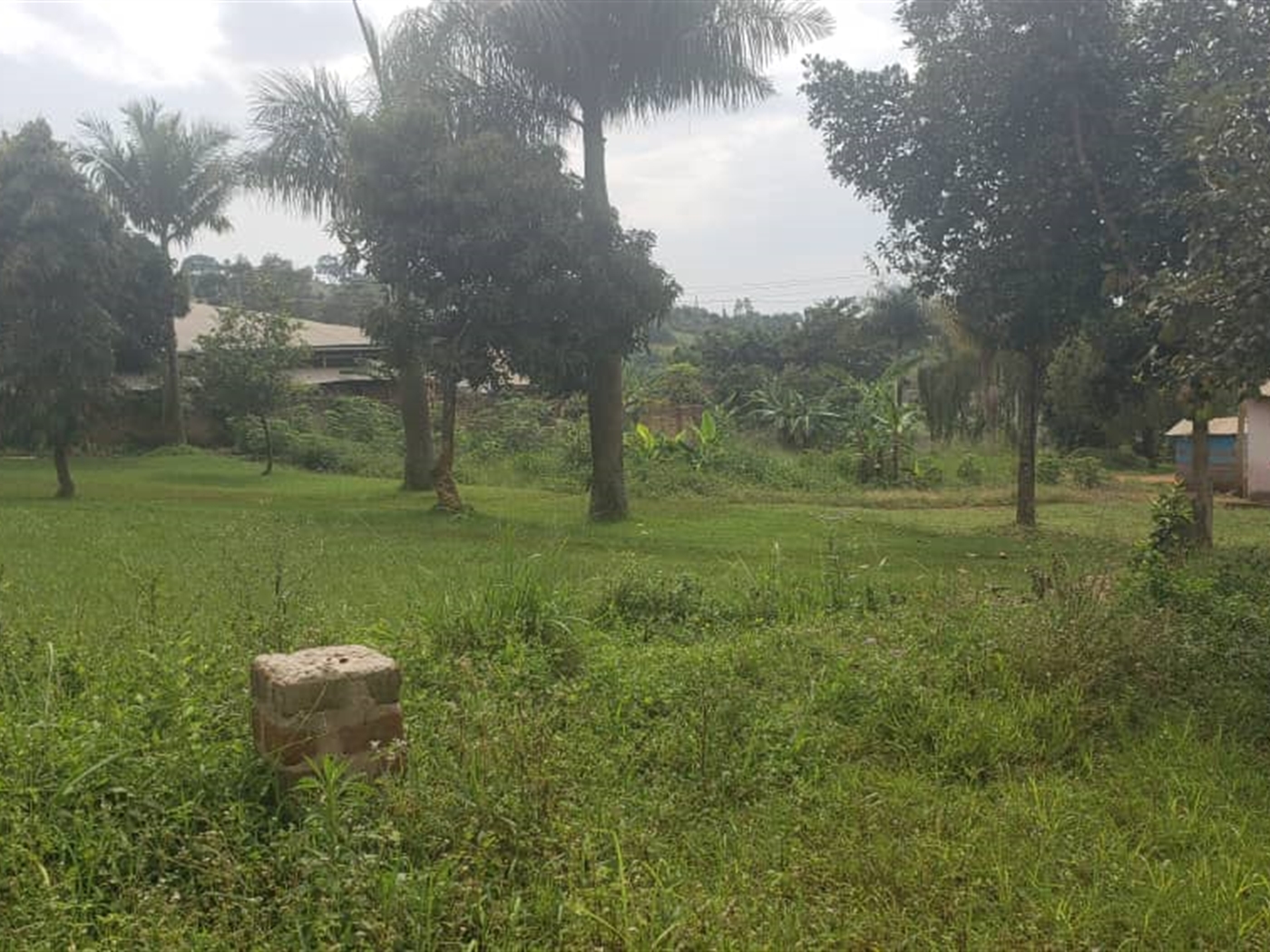 Residential land for sale in Wamala Wakiso Uganda