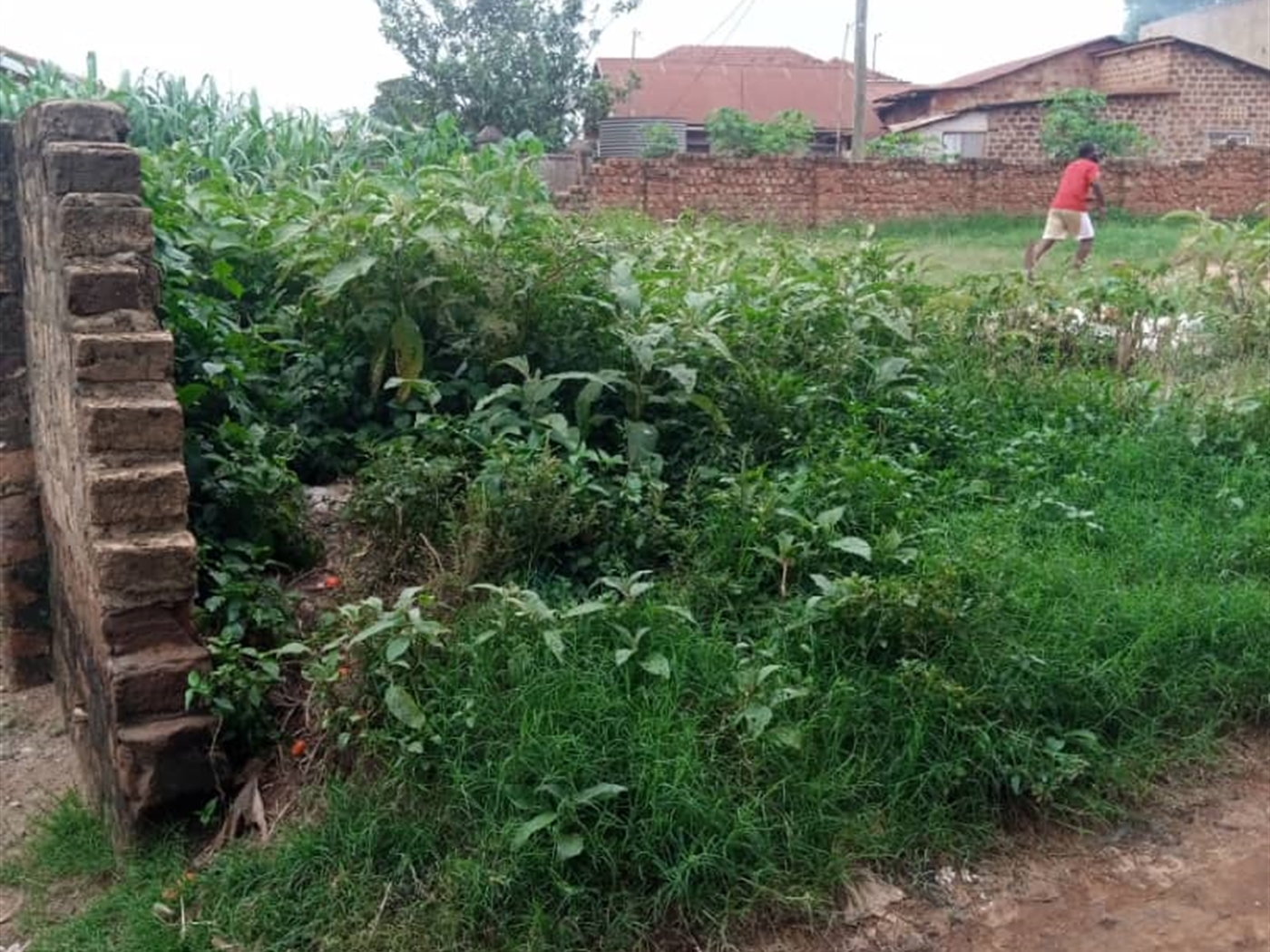 Residential land for sale in Wakaliga Kampala Uganda