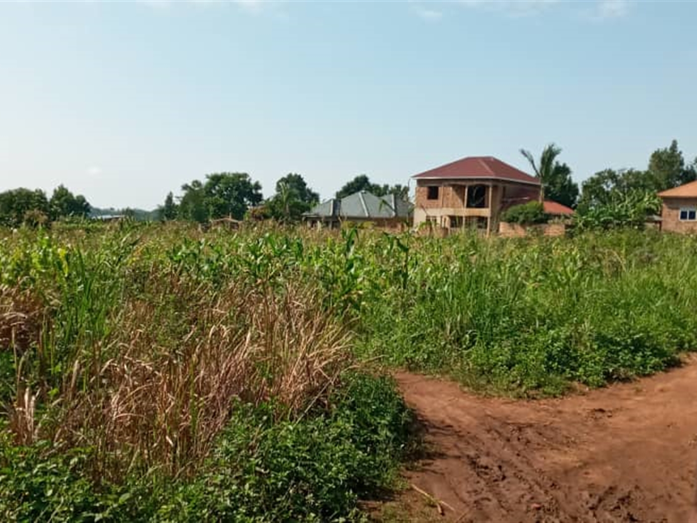 Residential land for sale in Ssemuto Nakaseke Uganda