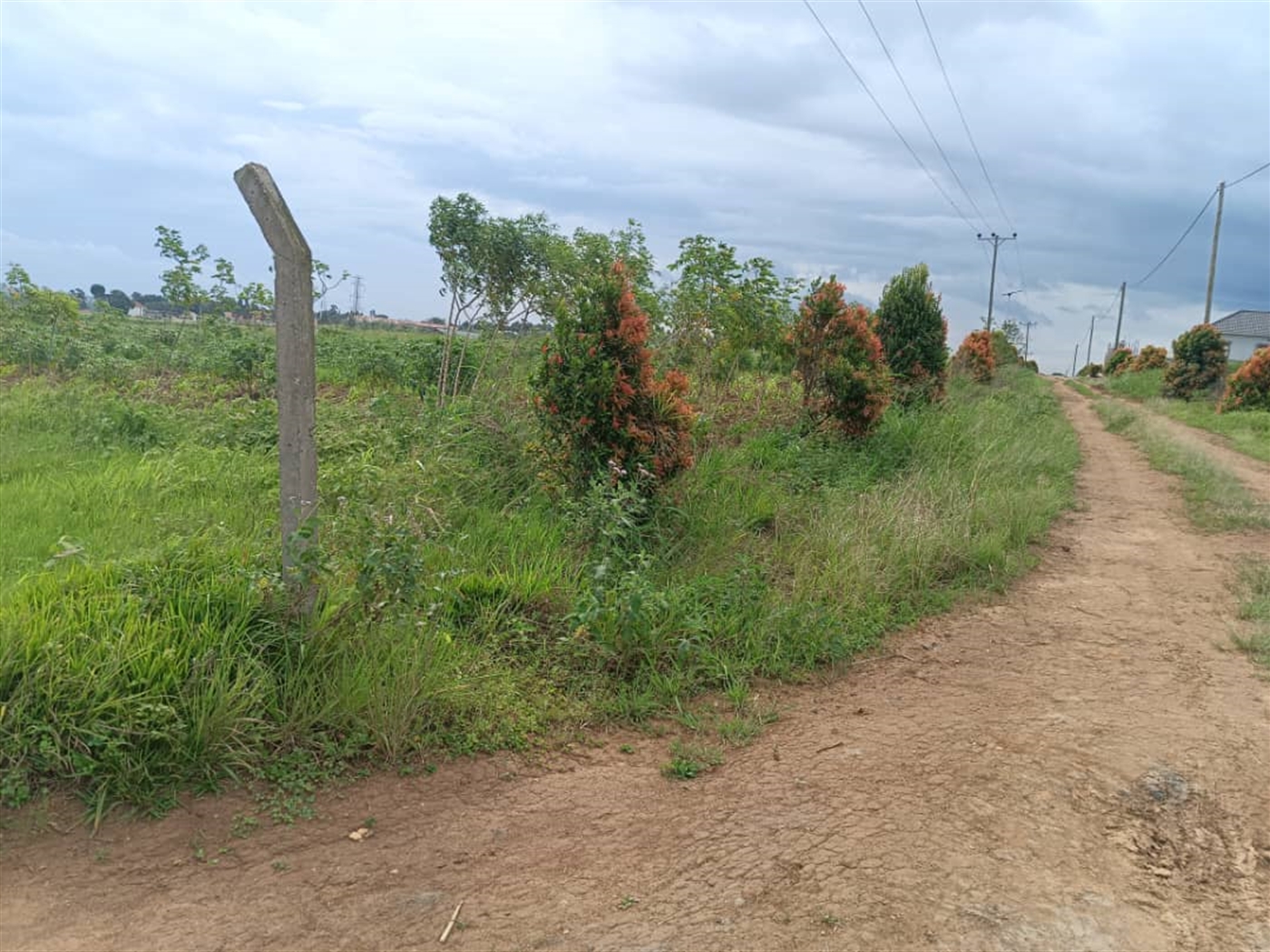 Residential land for sale in Sonde Wakiso Uganda