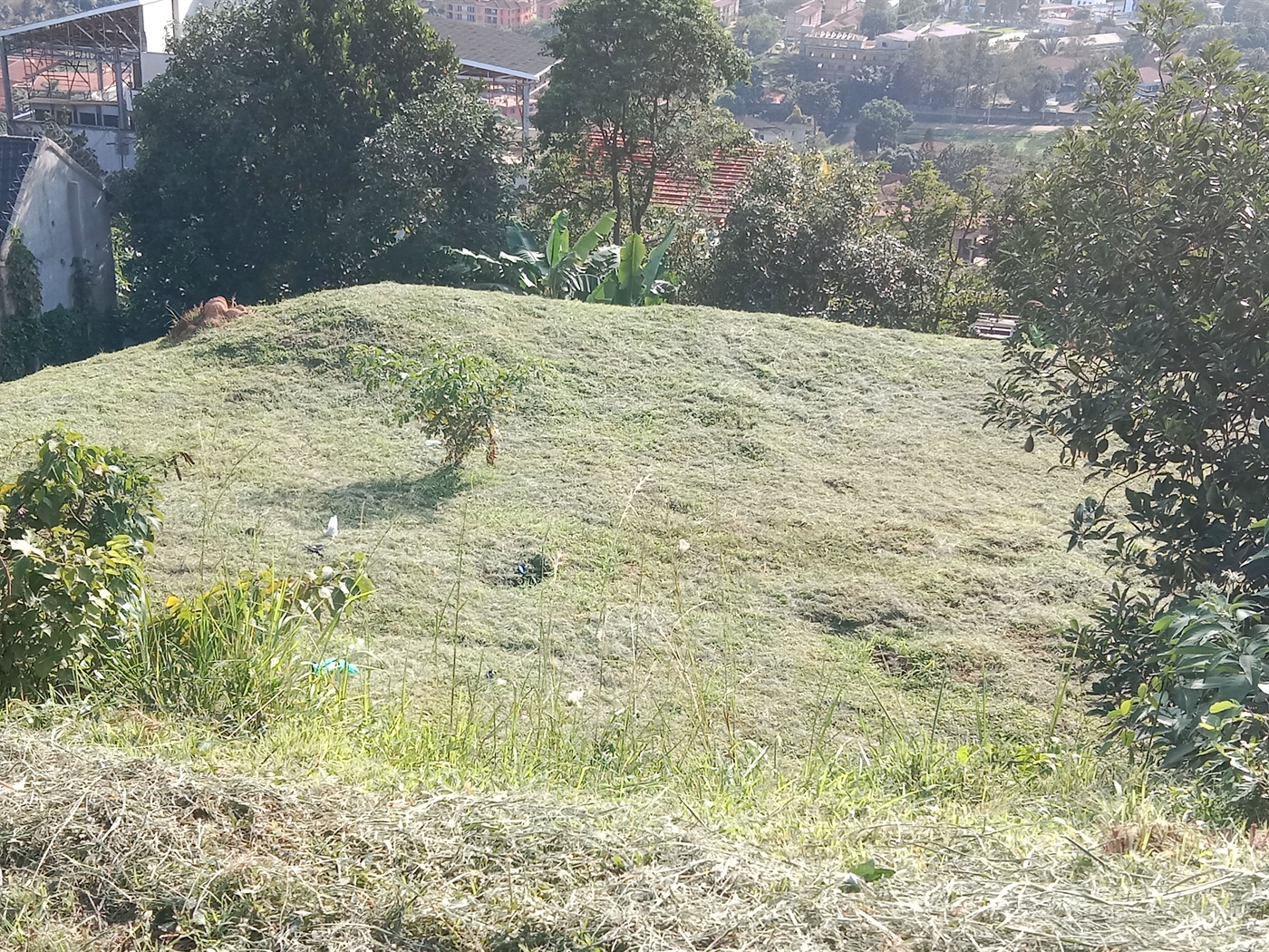 Residential land for sale in Naguru Kampala Uganda