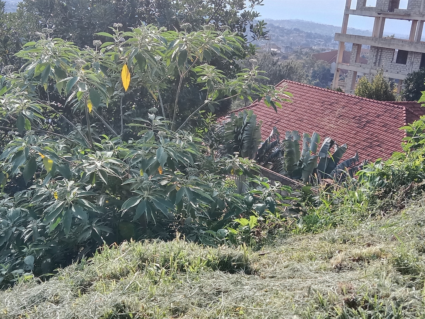 Residential land for sale in Naguru Kampala Uganda