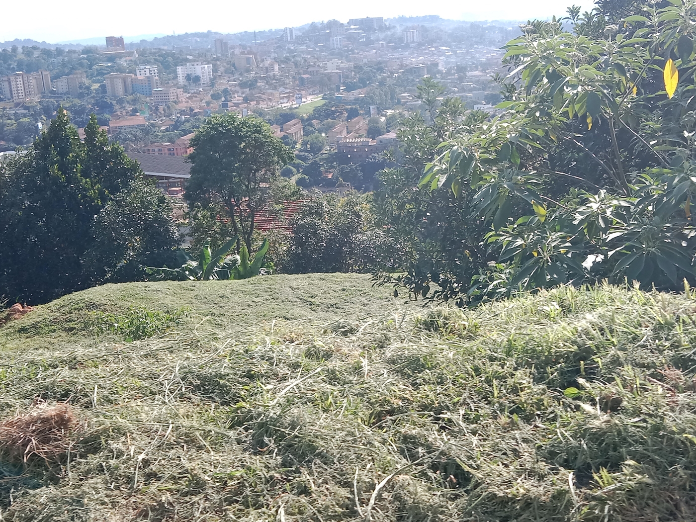 Residential land for sale in Naguru Kampala Uganda