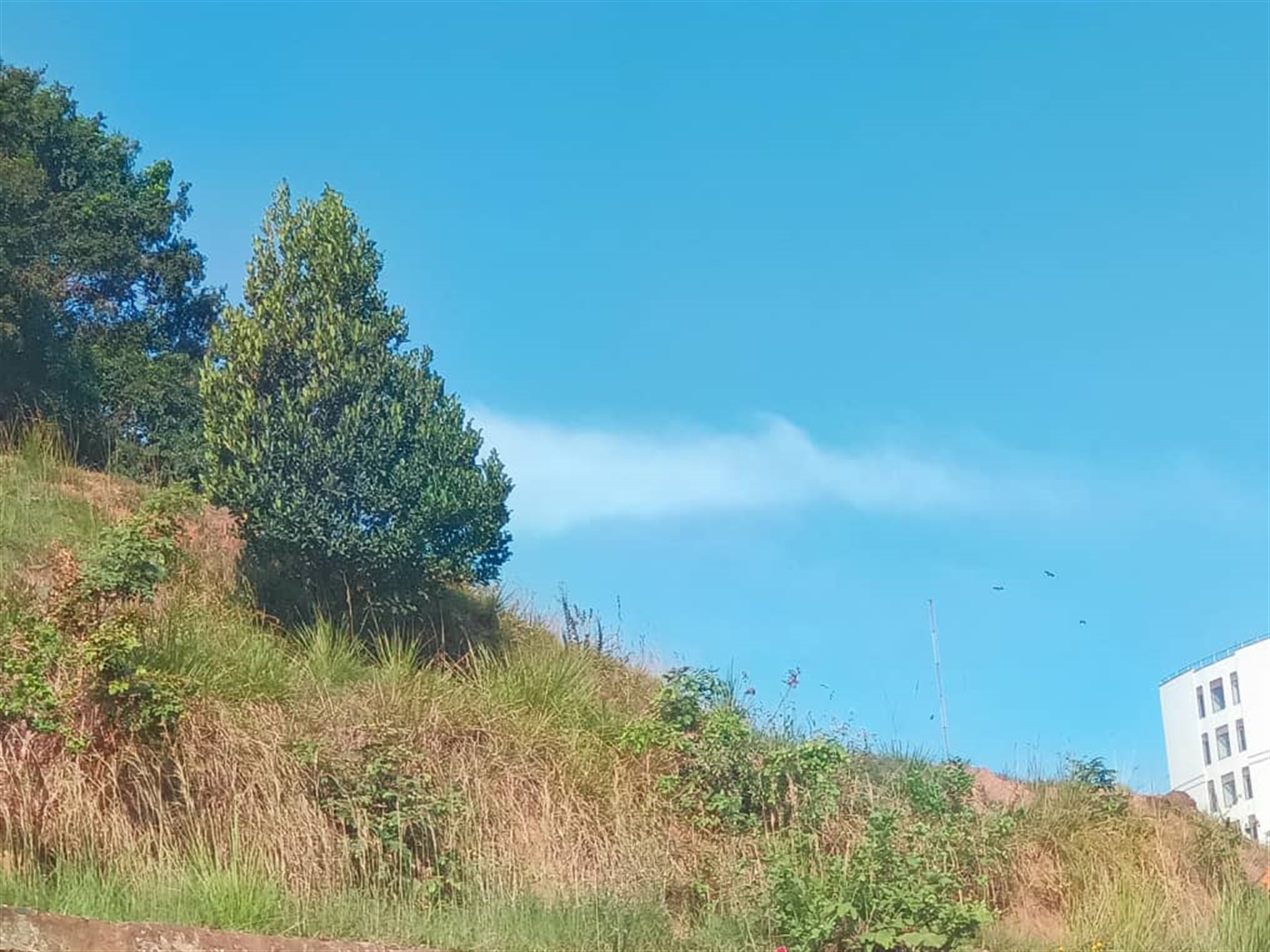 Residential land for sale in Naguru Kampala Uganda