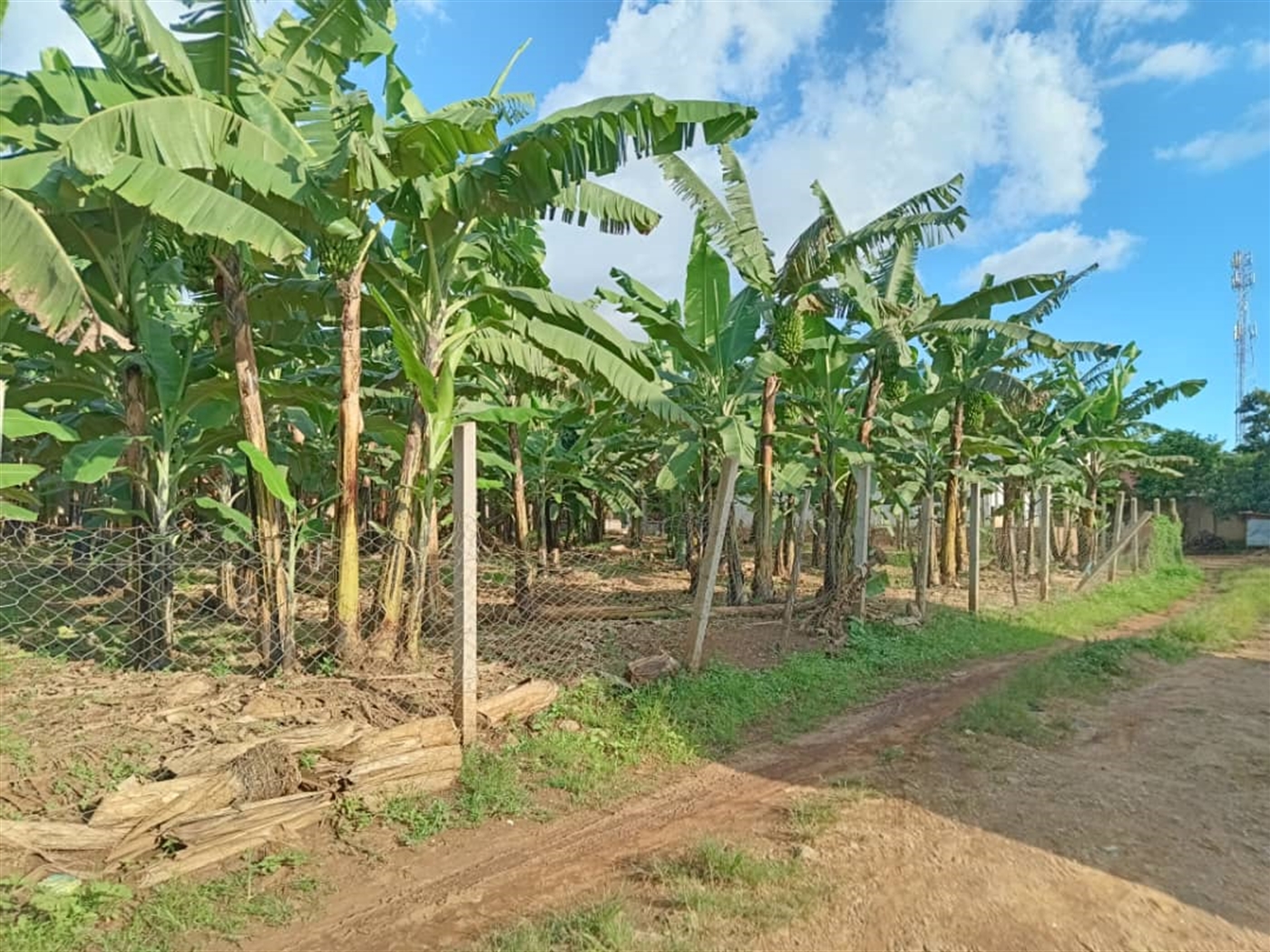 Residential land for sale in Sonde Wakiso Uganda