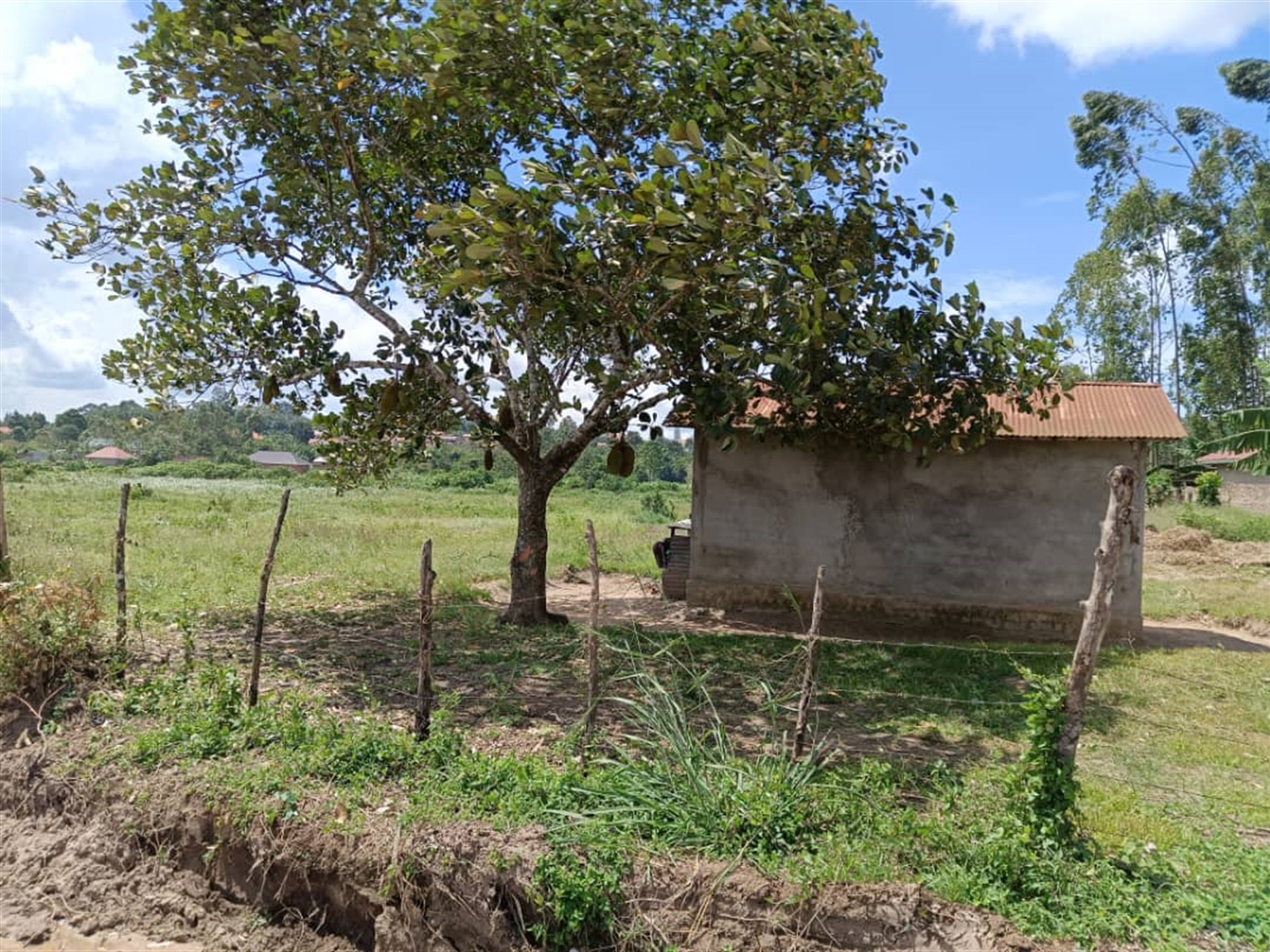 Residential land for sale in Sonde Wakiso Uganda