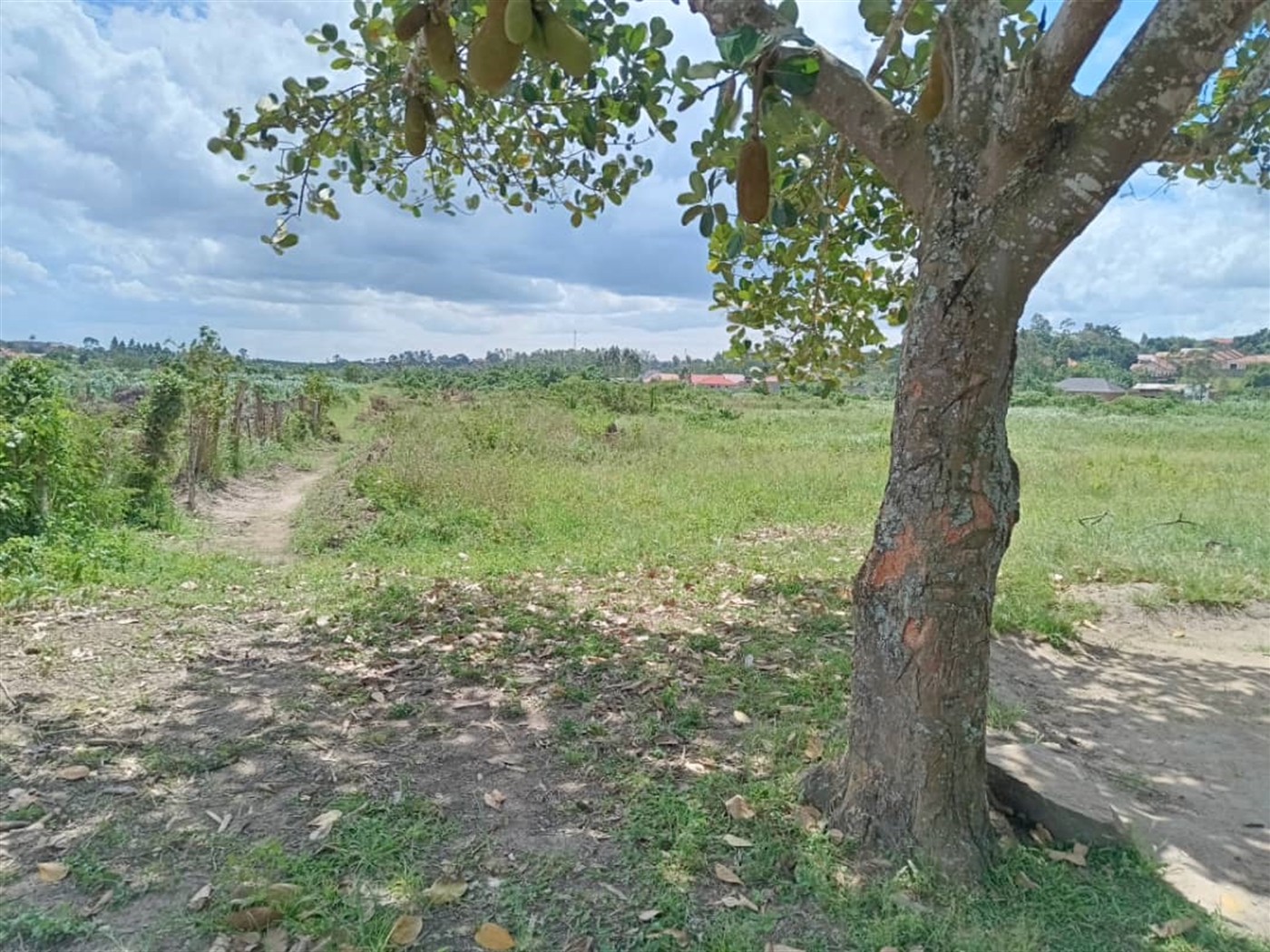 Residential land for sale in Sonde Wakiso Uganda