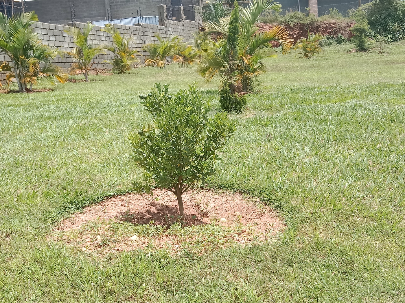 Residential land for sale in Lubowa Wakiso Uganda