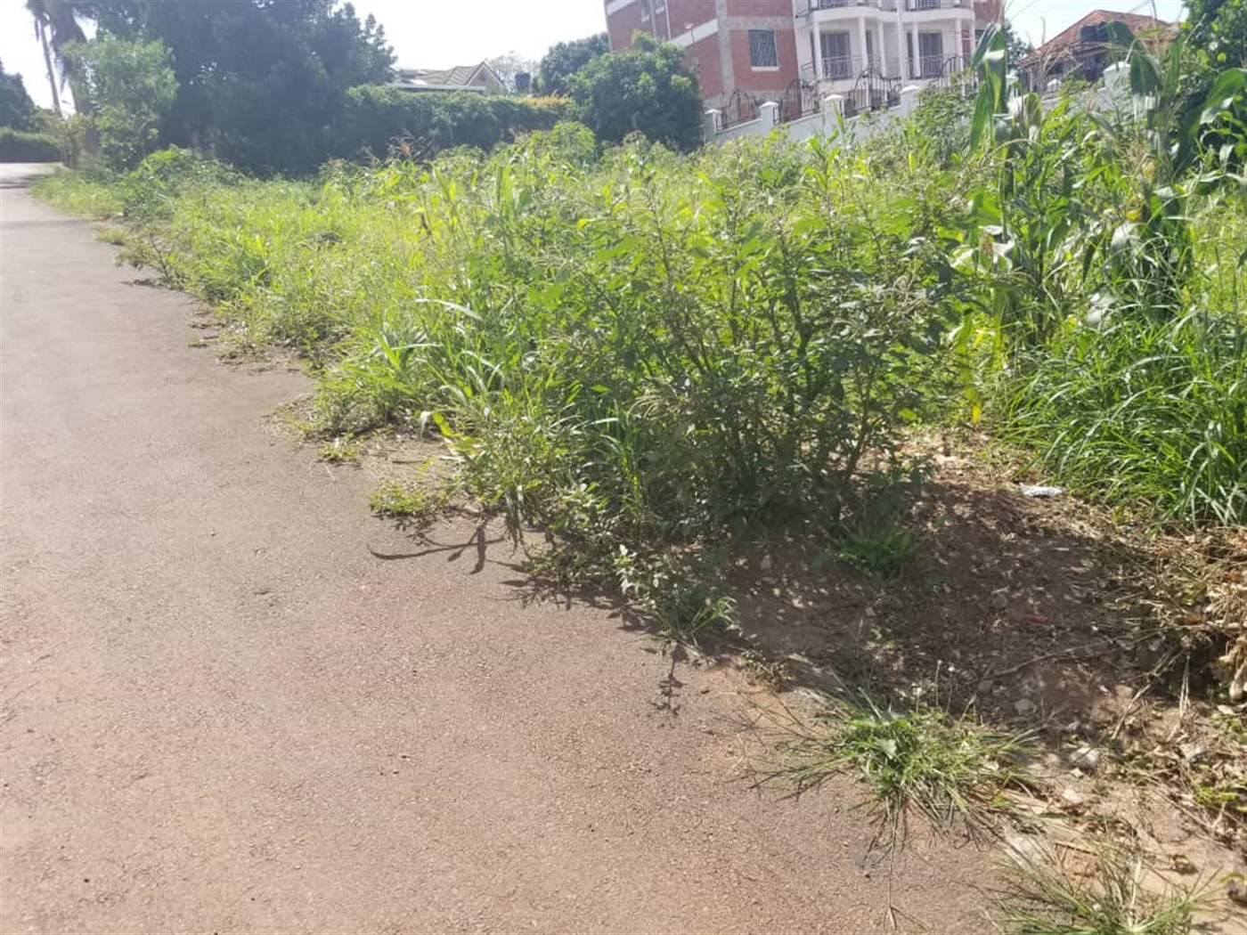 Residential land for sale in Lubowa Wakiso Uganda