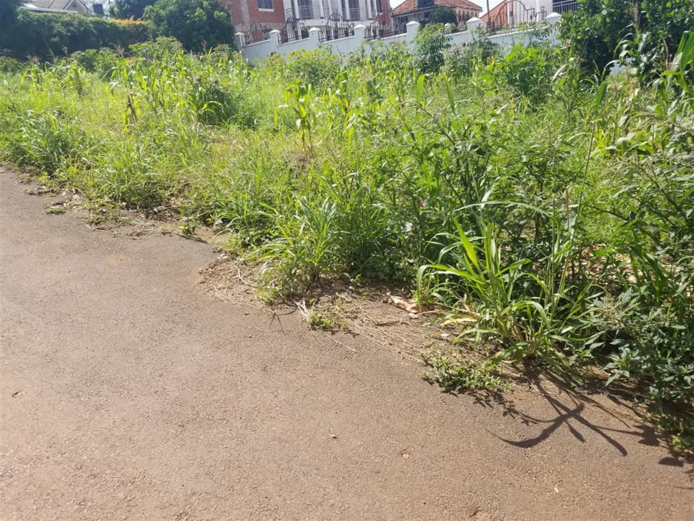 Residential land for sale in Lubowa Wakiso Uganda