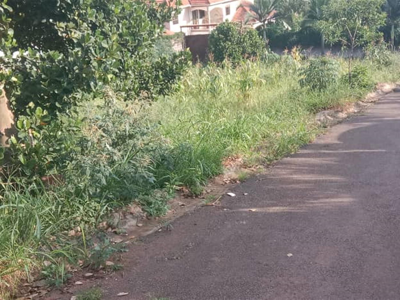 Residential land for sale in Lubowa Wakiso Uganda