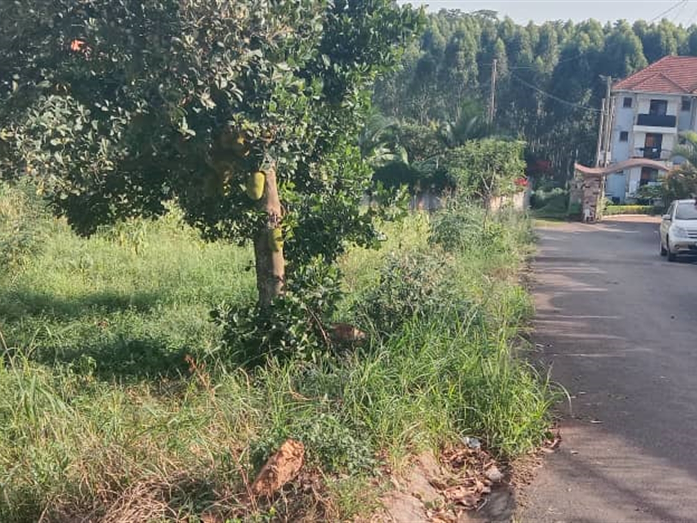 Residential land for sale in Lubowa Wakiso Uganda