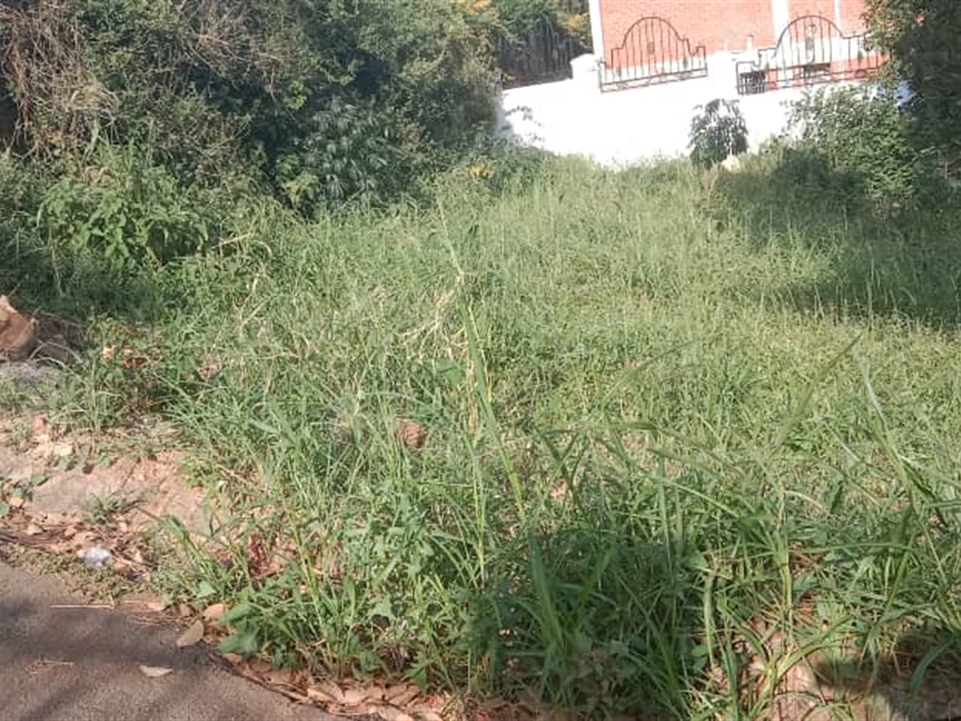 Residential land for sale in Lubowa Wakiso Uganda