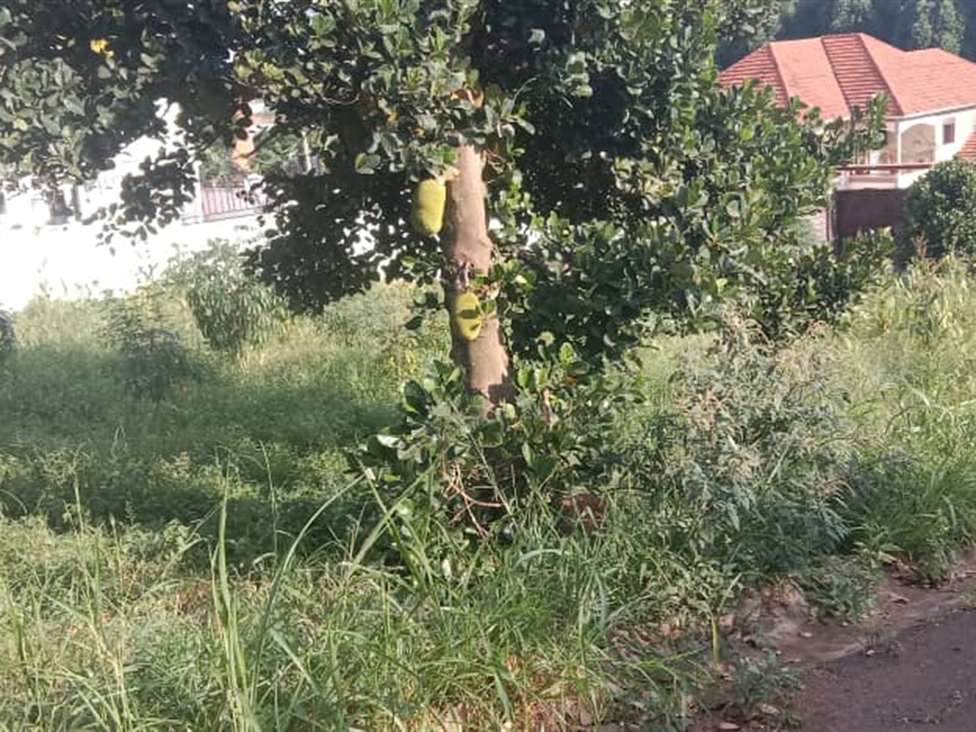 Residential land for sale in Lubowa Wakiso Uganda