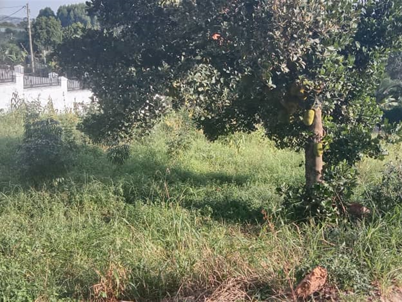 Residential land for sale in Lubowa Wakiso Uganda