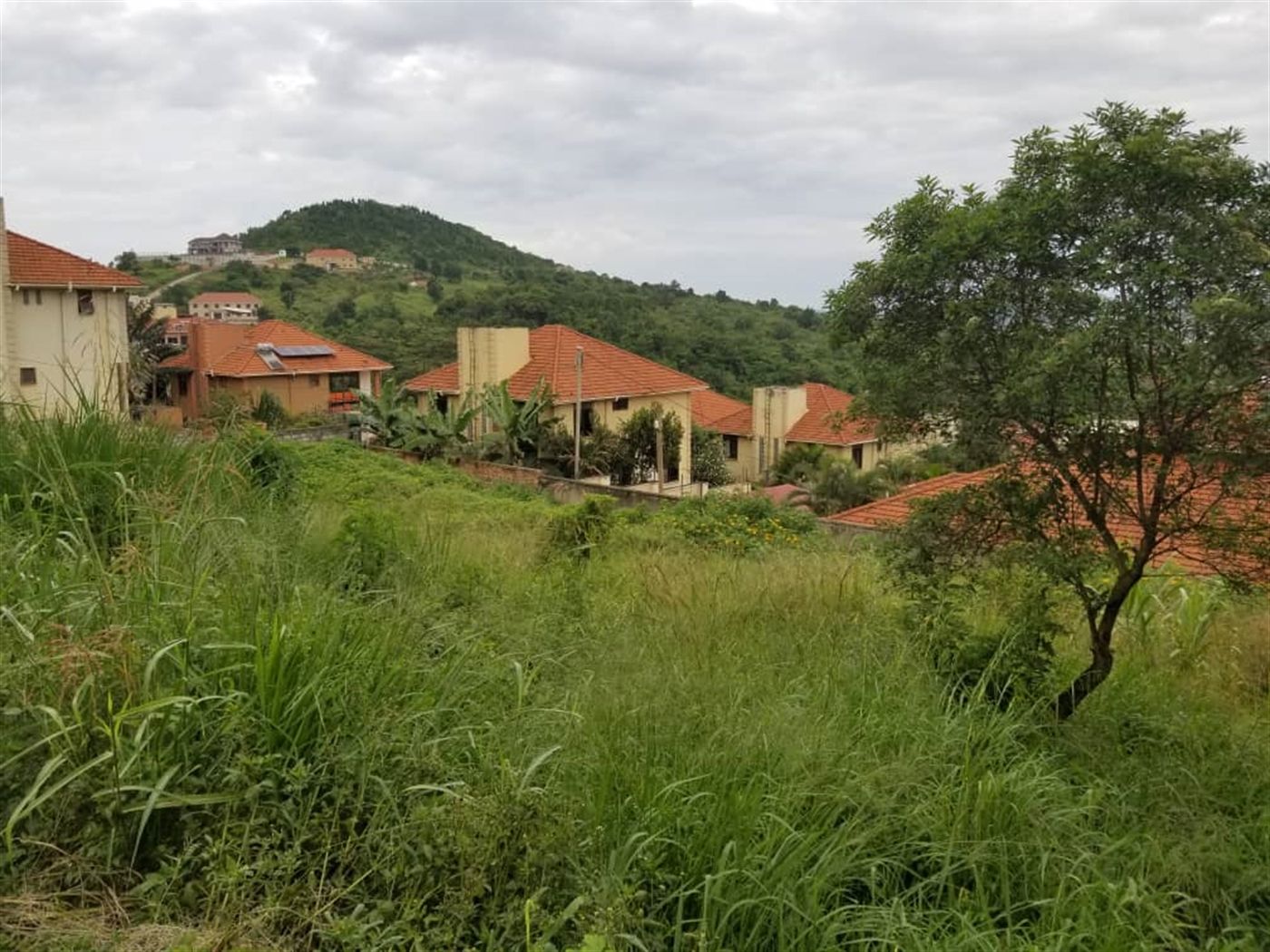 Residential land for sale in Lubowa Wakiso Uganda