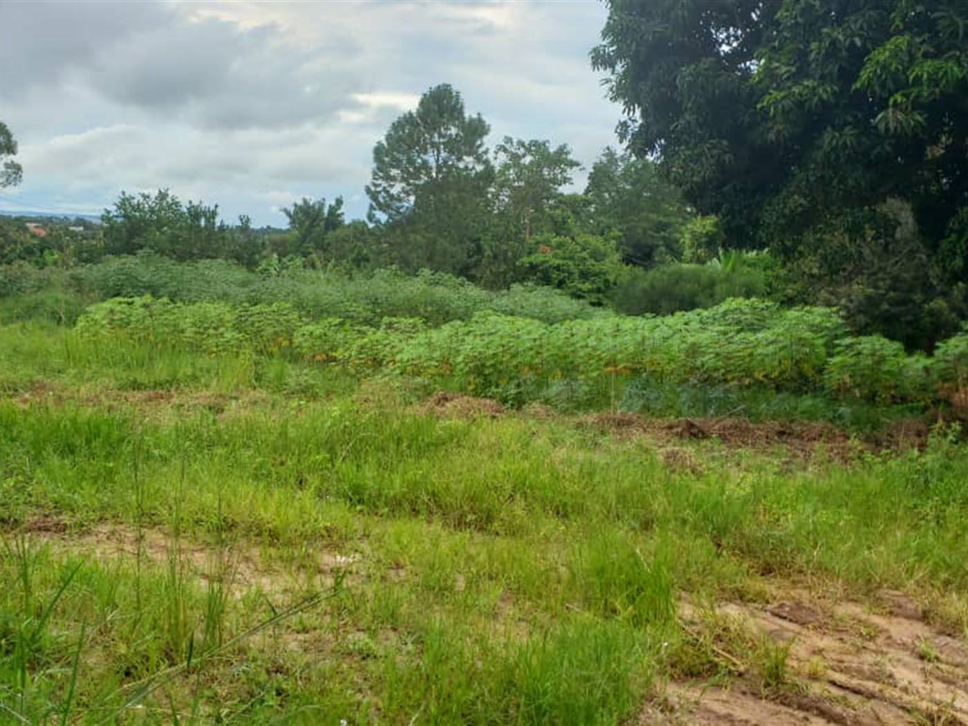 Residential land for sale in Lubowa Wakiso Uganda