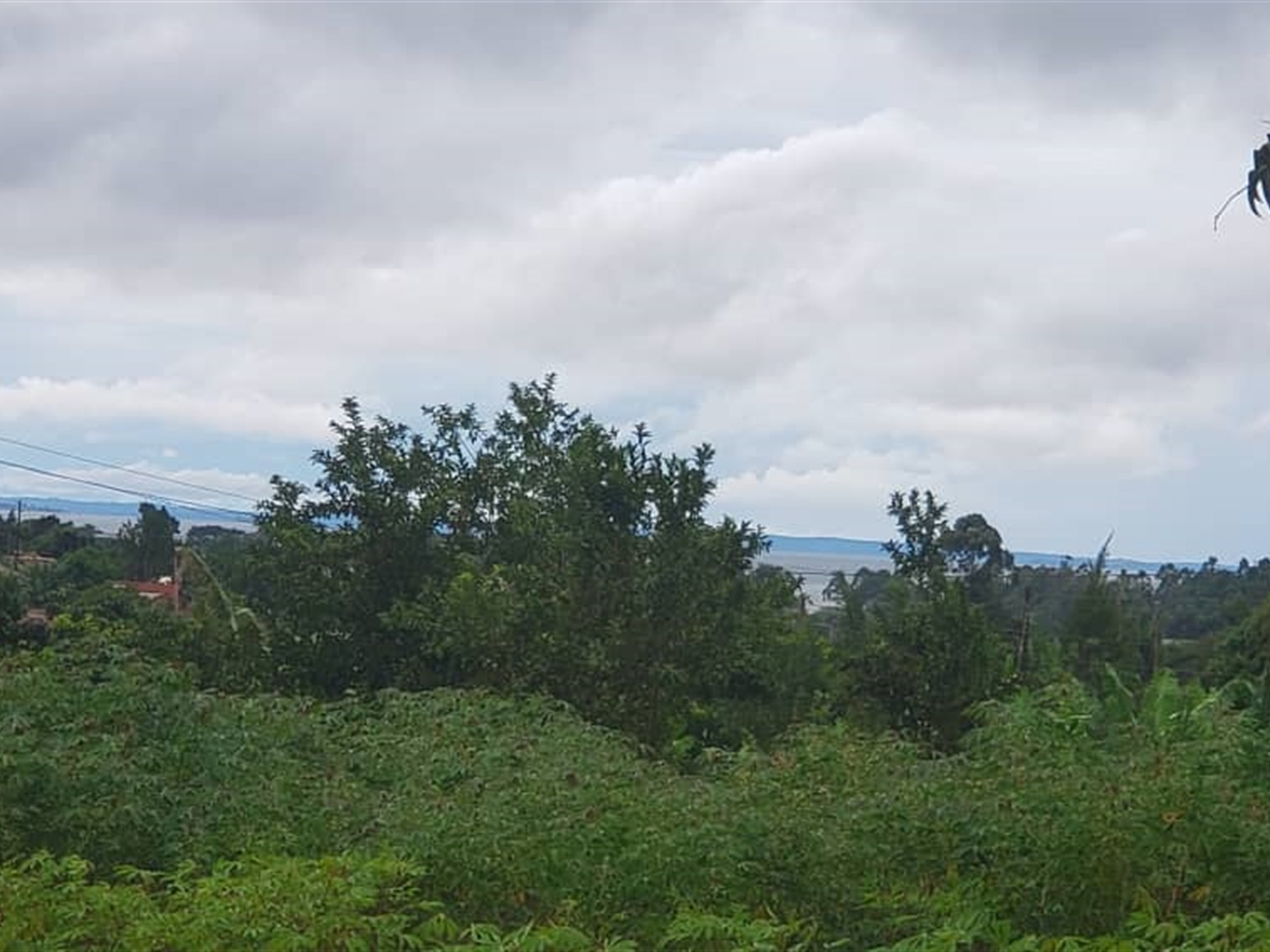 Residential land for sale in Lubowa Wakiso Uganda